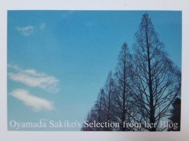Oyamada Sakiko’s Selection from her Blog