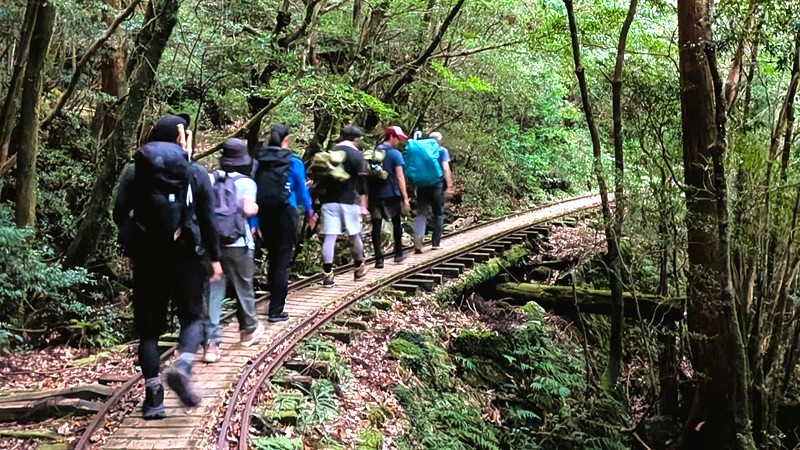 ガイド付きの方々