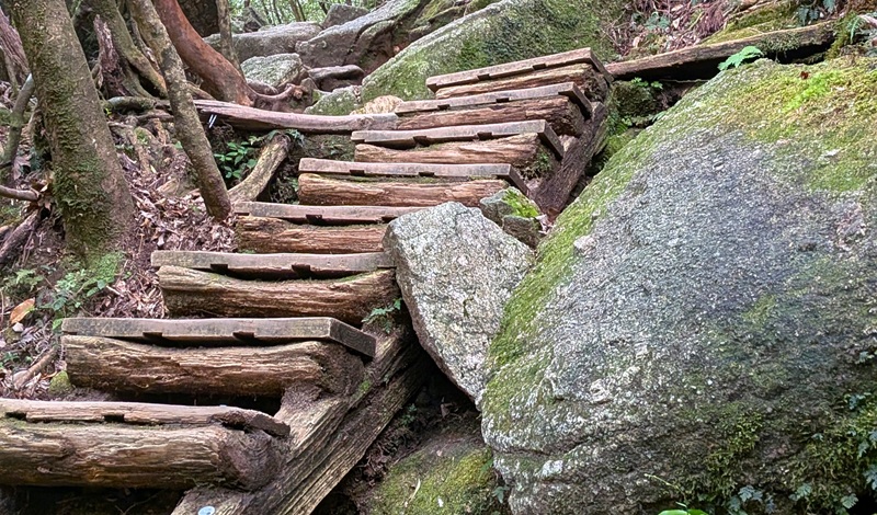 ここから大株歩道